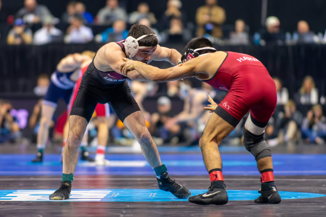 Lock Haven S Anthony Noto Secures All American Status At NCAAs Falls 23notoB 1100x733 